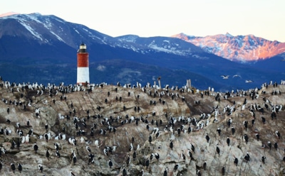 Огненная Земля — неверное название и другие факты об архипелаге: географическое положение. климат, обитатели