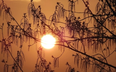 30 марта: что нельзя делать в День памяти Алексия, человека Божия