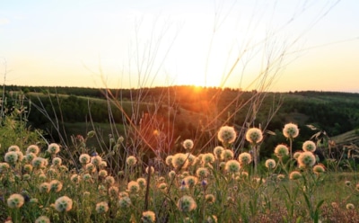 1 апреля: что нельзя делать в День памяти мучеников Хрисанфа и Дарии
