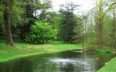 2 апреля: что нельзя делать в День памяти Евфросина Синозерского