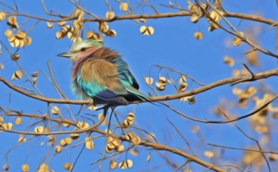 3 апреля: что нельзя делать в День памяти Серафима Вырицкого