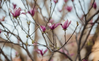 5 апреля: что нельзя делать в День памяти Никона Сицилийского