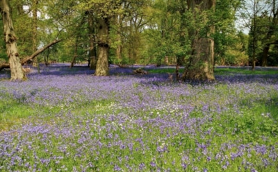 8 апреля: что нельзя делать в День памяти Иринея Сирмийского