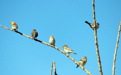 10 апреля: что нельзя делать в День памяти Илариона Нового