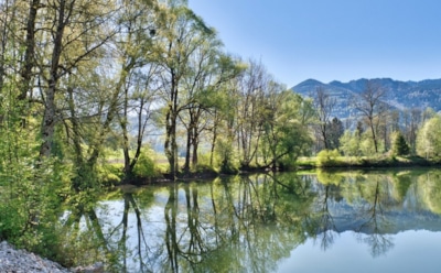 14 апреля: что нельзя делать в День памяти Марии Египетской