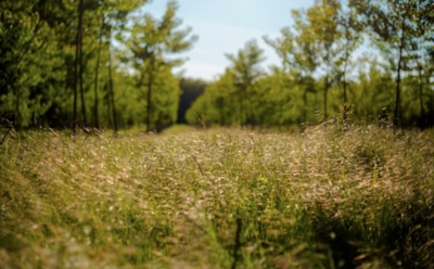 15 апреля: что нельзя делать в День памяти Тита Чудотворца