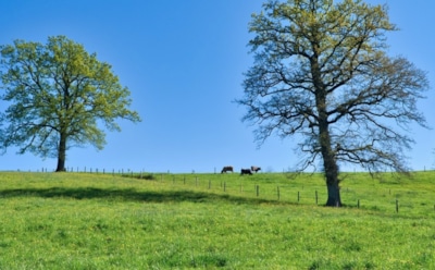 16 апреля: что нельзя делать в Лазареву субботу