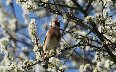 19 апреля: что нельзя делать в Великий вторник
