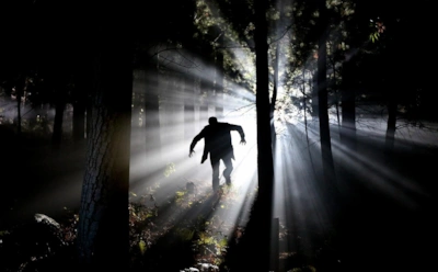 9 фильмов про вампиров, которые не отпускают до последней минуты