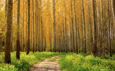 22 апреля: что нельзя делать в Великую пятницу