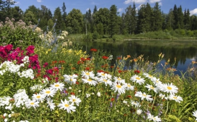 25 апреля: что нельзя делать в День памяти Василия Парийского