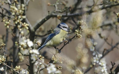 26 апреля: что нельзя делать в День памяти Артемона Лаодикийского