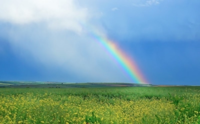 29 апреля: что нельзя делать в День памяти мучениц Агапии, Ирины и Хионии Аквилейских