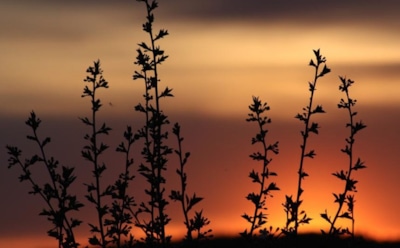 1 мая: что нельзя делать в День памяти Иоанна Нового