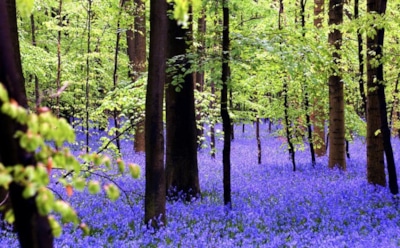 2 мая: что нельзя делать в День памяти Иоанна Ветхопещерника