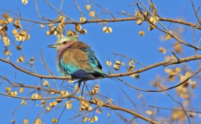 8 мая: что нельзя делать в День памяти апостола Марка