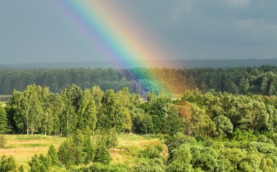 20 мая: что нельзя делать в День памяти Нила Сорского