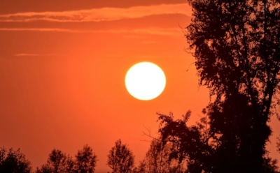 21 мая: что нельзя делать в День памяти Иоанна Богослова