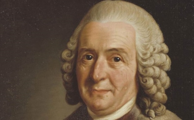 Карл Линней и его открытия: факты о жизни и трудах знаменитого ученого