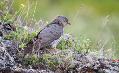 27 мая: что нельзя делать в День памяти Иоанна Русского