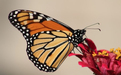 29 мая: что нельзя делать в День памяти Феодора Освященного