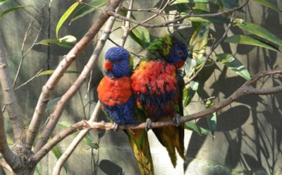 31 мая: что нельзя делать в День памяти Феодота Корчемника