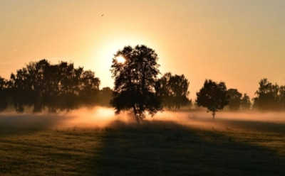 1 июня: что нельзя делать в День памяти Корнилия Комельского