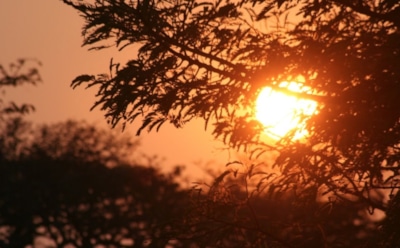 2 июня: что нельзя делать на Вознесение Господне