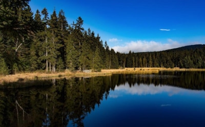 8 июня: что нельзя делать в День памяти Макария Калязинского