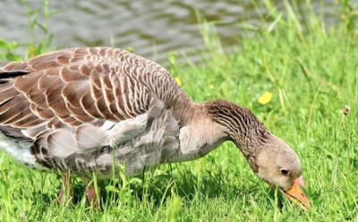 10 июня: что нельзя делать в День памяти Игнатия Ростовского