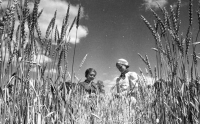 Юные натуралисты — юннатское движение и его значение: история возникновения, задачи и другие факты