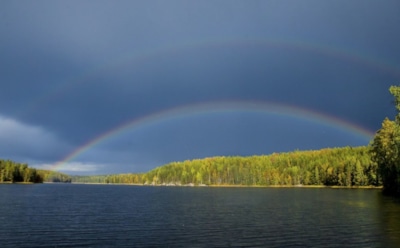 17 июня: что нельзя делать в День памяти Мефодия Пешношского