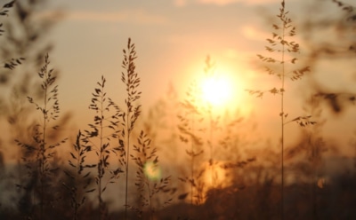 21 июня: что нельзя делать в День памяти Ефрема Антиохийского