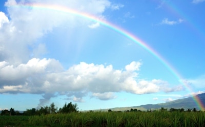 1 июля: что нельзя делать в День памяти Василия Смирнова