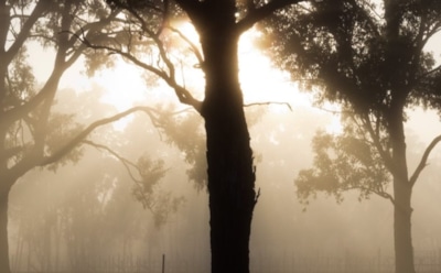 5 июля: что нельзя делать в День памяти Евсевия Самосатского