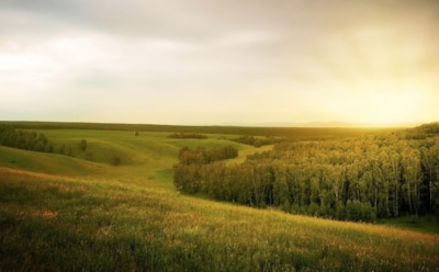 9 июля: что нельзя делать в День памяти Давида Солунского