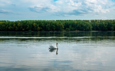 13 июля: что нельзя делать в День памяти Петра Ордынского