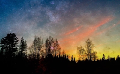 14 июля: что нельзя делать в День Космы и Дамиана