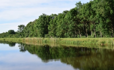 15 июля: что нельзя делать в День памяти Фотия Московского