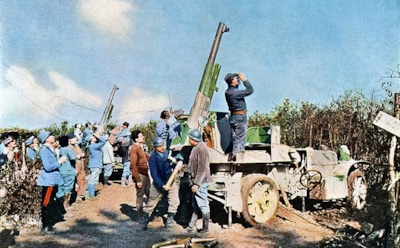 Верденская мясорубка — факты об одной из самых кровопролитных операций Первой мировой