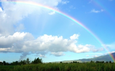 28 июля: что нельзя делать в День памяти равноапостольного князя Владимира