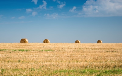 30 июля: что нельзя делать в День памяти Марины Антиохийской