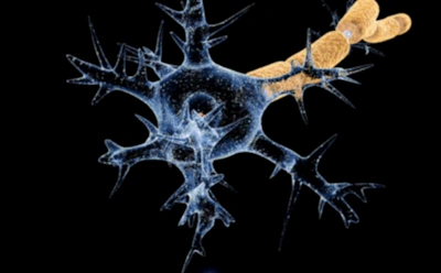 Синдром Гийена-Барре: симптомы, последствия и особенности лечения