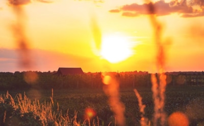 3 августа: что нельзя делать в День памяти пророка Иезекииля