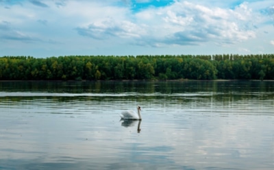 6 августа: что нельзя делать в День памяти Бориса и Глеба