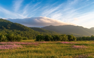 13 августа: что нельзя делать в День памяти Германа Осерского