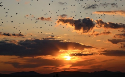 20 августа: что нельзя делать на Обретение мощей Митрофана Воронежского