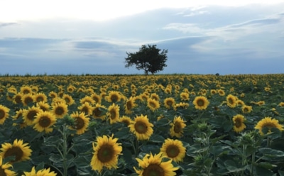 23 августа: что нельзя делать в День памяти Лаврентия Римского
