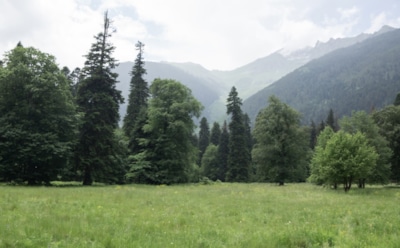 26 августа: что нельзя делать на Перенесение мощей Максима Исповедника