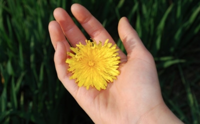 28 августа: что нельзя делать на Успение Пресвятой Богородицы